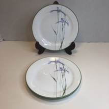 Corelle Shadow Iris 4 Bread Salad Plates 7&quot; Purple Green Flowers - $19.79