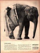 1963 Sanforized Plus Elephant Wearing Pants Vintage Print Ad d2 - £17.77 GBP