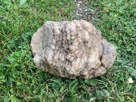 8  Lb + Indiana Geode  Crystals , minerals,fossil   Intact Jewelry Lapidary - £81.07 GBP