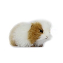 Guinea Pig Brown &amp; White 8&quot;  (7319) - £18.38 GBP