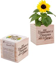 Employee Teacher Nurse Thank You Gift From Cheersville: Plant Cube Appreciation - £25.53 GBP
