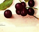 Vtg Postcard 1907 Sebastpool CA California Catalina Cherry by Lluther Bu... - $3.51