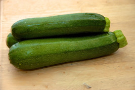 USA Non GMO Squash Zucchini Garden Vegetable Straight Type 20 Seeds - £6.30 GBP