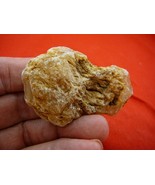 (k-3305) 25 g Rare Kauri tree Gum copal young Amber New Zealand Tane Mahuta - $400.74 MXN