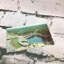 Vintage Postcard Florida Silver Springs Collectible Travel - £3.86 GBP