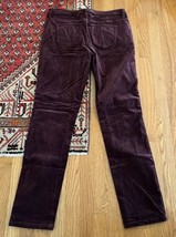 Sundance Velvet Velour Maroon pants Cotton Stretch Straight Leg 12P petite - $29.67