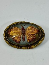 Figural Butterfly Brooch Reverse Painted Cut Oval Pin Convex Curved Glass - $48.46