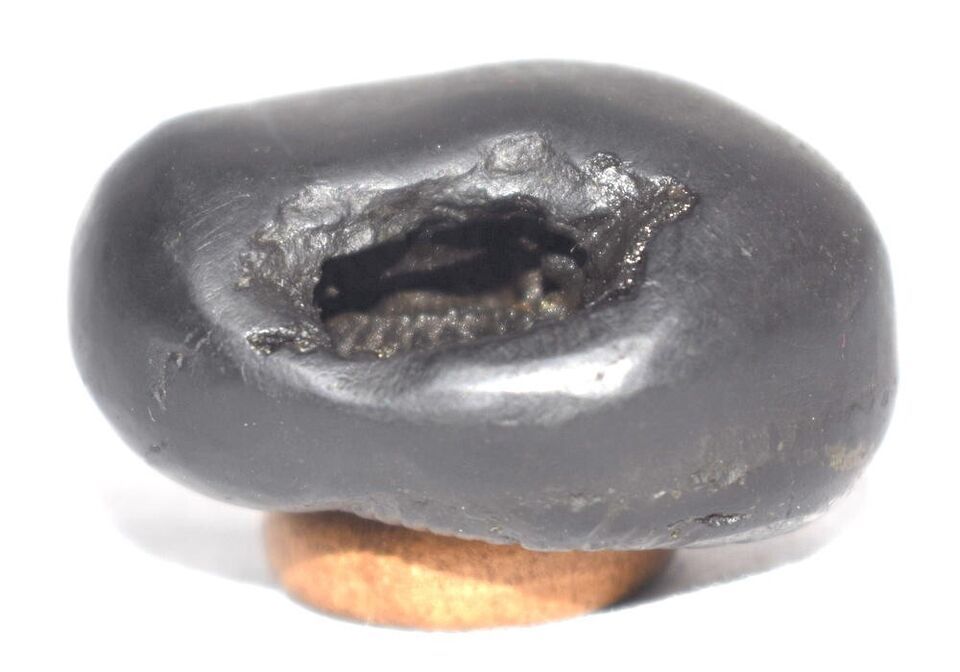Shesha Shaligram / Ananta Shesha Salagram - Gandaki River Nepal Item image 9