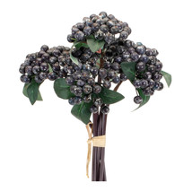 Blue Berry Bundle (Set of 2) - $957.53 MXN