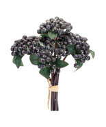 Blue Berry Bundle (Set of 2) - $956.04 MXN