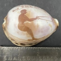 Vintage 1940s Retro Theme Tourist Sea Shell Wildwood NJ - $185.74 MXN