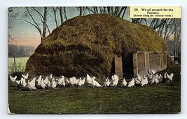 We All Scratch For The Farmer Scene From A Country Road Postcard - $4.94