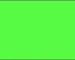 Neon Green Flag Solid Color Banner Advertising Pennant Party Decoration 2x3 - £3.50 GBP