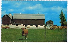 Ontario Postcard Stouffville Barn Cows - £2.21 GBP