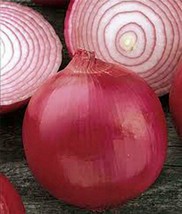 Onion Seed, Short Day, Burgandy Red Onion , Heirloom, Organic, NONGMO, 500 Seeds - $8.90