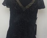 DAISY FUENTES Gray Sheer Velvet Satin Lace Blouse Shirt Top Women Sz M N... - $16.01
