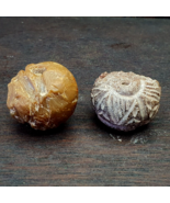 Lot 2 antike Himalaya seltene JADE und schwarzer Stein gravierte große P... - $132.34 CAD