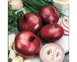 Simple Pack 40 seed Vegetable Onion Red Baron Organic - $7.92
