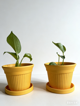 10pcs Nordic Style Terracotta Planter Set with Drainage Trays-Customization - $200.00