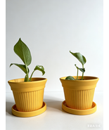 10pcs Nordic Style Terracotta Planter Set with Drainage Trays-Customization - $200.00