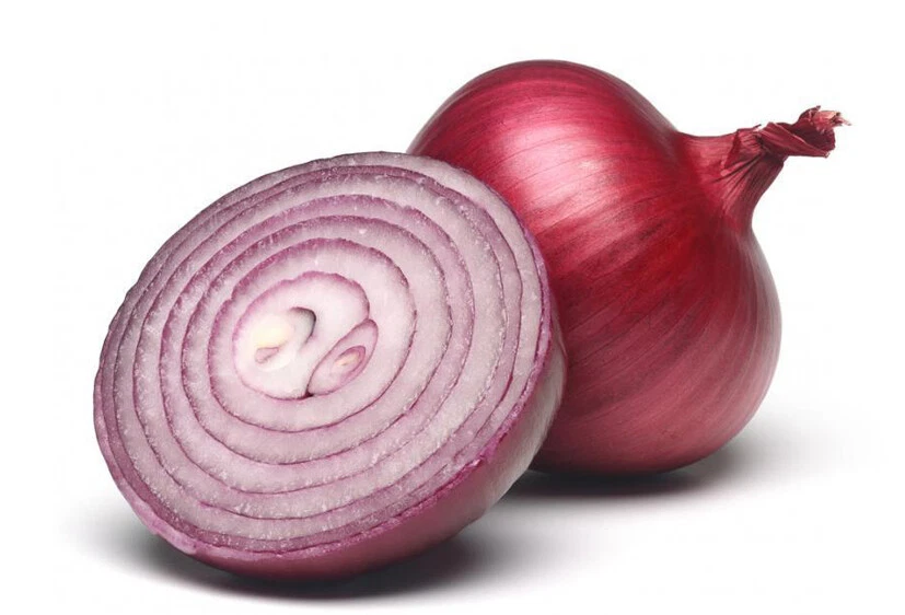 Collectible 200  Onion Seeds Red Burgundy Onion (Allium cepa) Fresh Gard... - $3.80