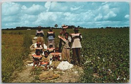 Vintage Postcard Time Out for Watermelon Down South Cotton Field 1979 - £11.30 GBP