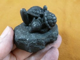(SH-TUR-3) Turtle family figurine black Shungite stone hand carving turtles bale - £25.50 GBP