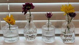 Glass Bud Vases Set of 4,Small Flower Vases Centerpiece 2.1&quot;L x 1.5&quot;W x ... - €15,46 EUR