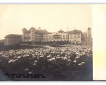 RPPC Potter Hotel Lily Field Santa Barbara California N H Reed UNP Postc... - $83.71