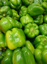 Yolo Wonder Pepper Seeds 50 Sweet Bell Vegetable Garden Fresh Garden - $3.98
