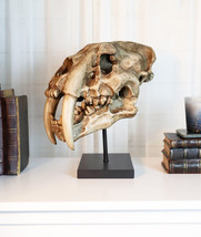 Sabertooth Tiger Cat Fossil Skull Skeleton Replica Statue With Museum Pole Mount - £95.91 GBP
