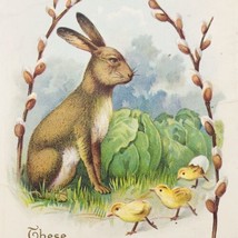 Antique 1915 Embossed Easter Rabbit Bunny w/ Chicks Hatchlings Postcard - $8.59