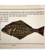 Halibut 1939 Salt Water Fish Gordon Ertz Color Plate Print Antique PCBG19 - £23.42 GBP