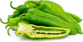 MBK Pepper Anaheim Hot Chile Pepper 25 Seeds Groco Fresh Garden - $8.79