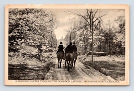 Riding Horses Through Dogwoods Sandhill Section North Carolina NC Postcard O3 - £4.06 GBP