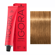Schwarzkopf IGORA ROYAL Hair Color, 8-55 Light Blonde Gold Extra