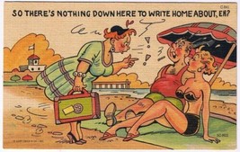 Comic Postcard Curt Teich Nothing Down Here To Write Home About - $2.16