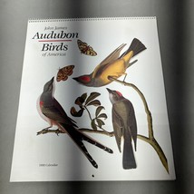 Vintage 1988 John James Audubon Birds of America Wall Calendar Prints 14 x 12&quot; - £22.91 GBP