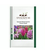 Hyacinth Mixed Colorful Flowers - 300 PCS Seeds - $15.13