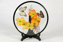 Vintage Large Convex Round Framed Glass Art Object - Butterflies with Flowers - £48.47 GBP