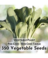 350 seeds Pak Choi - Bok Choi Taisai Vegetable Seeds Plant - $10.91 CAD
