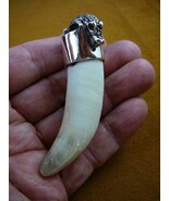 (G963-18-1) Big LARGE 3-1/4&quot; GATOR Alligator Tooth SILVER CAP gators Pen... - $7,022.14 MXN