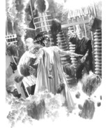 Alex Ross SIGNED Universal Monsters Sideshow Art Print ~ Bride of Franke... - $395.99
