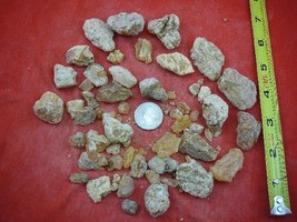 (k-4026) 100 g Rare Kauri tree Gum chips copal Amber New Zealand Tane Mahuta - £50.23 GBP
