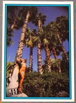 Card no. 234 © 1992 Hot Shots Adult Trading Cards Fremont CA - £0.78 GBP