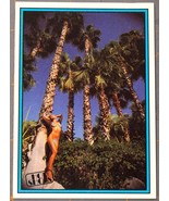 Card no. 234 © 1992 Hot Shots Adult Trading Cards Fremont CA - $0.99