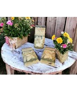 Sculptured Borders by Warner Leaves Pattern Beige &amp; Green 3 Rolls 5 Yard... - $532.75 MXN