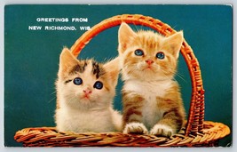 Postcard Greetings From New Richmond Wisconsin WI Cute Kittens In Basket - £4.75 GBP