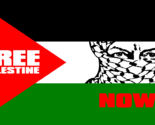 Palestine Freedom Now Free US Script 100D 3x5 3&#39;x5&#39; Woven Poly Nylon Fla... - $18.88