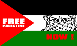 Palestine Freedom Now Free US Script 100D 3x5 3&#39;x5&#39; Woven Poly Nylon Flag Banner - £14.85 GBP